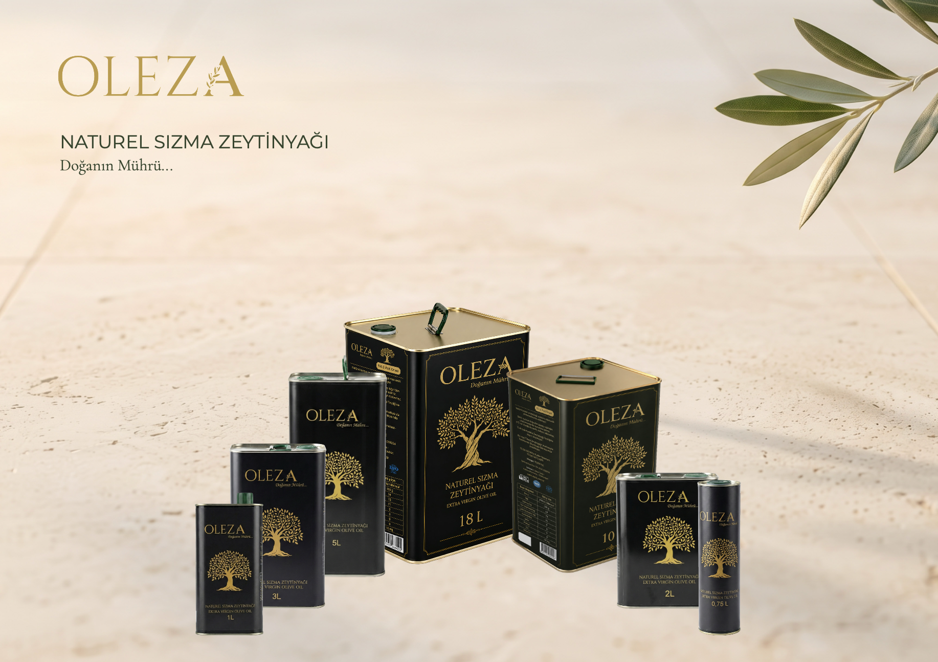 Hakkımızda