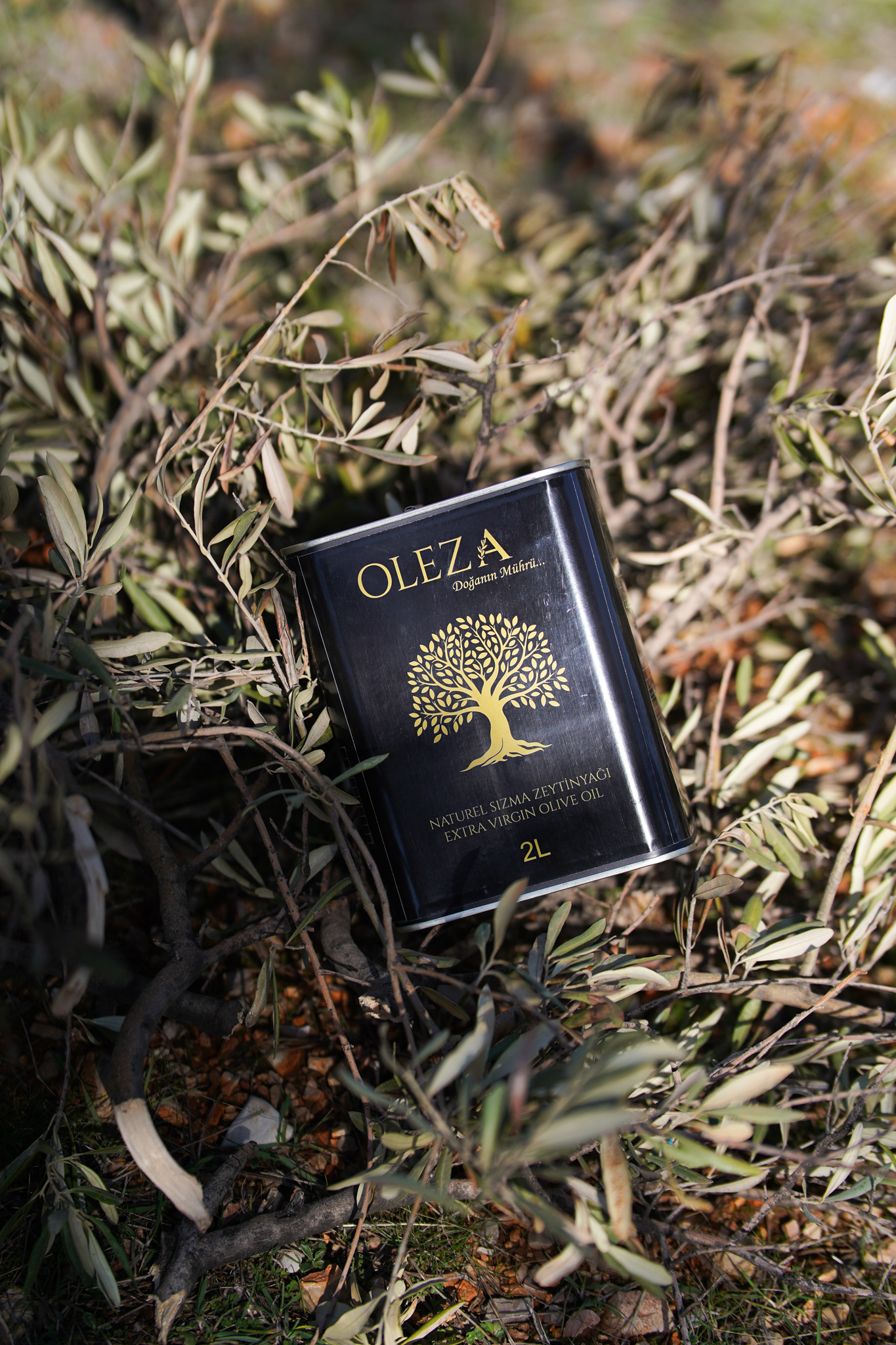 Oleza Natürel Sızma Zeytinyağı 2 Litre