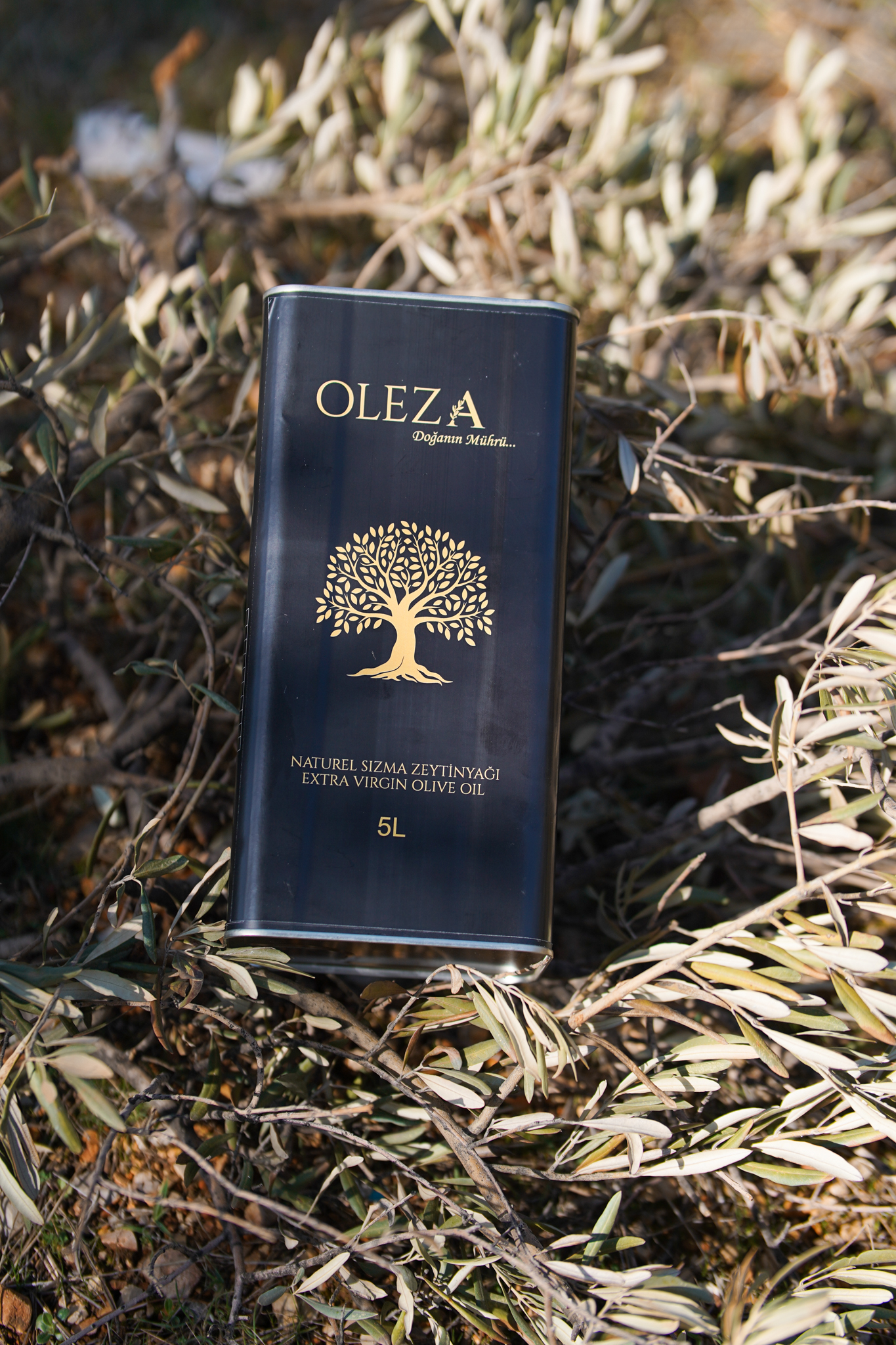 Oleza Natürel Sızma Zeytinyağı 5 Litre